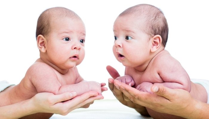 Newborn twins resting in their parents' hands.