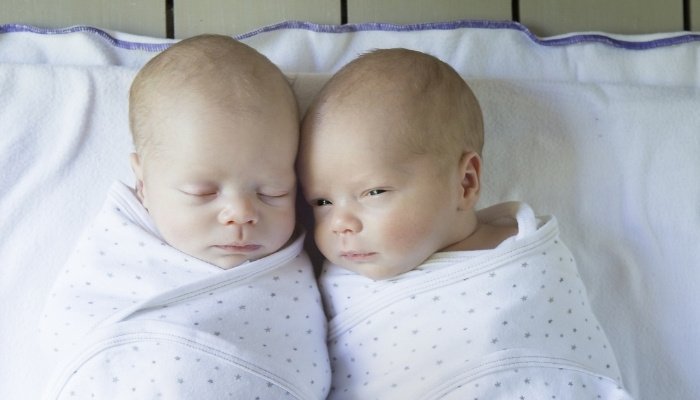 Newborn twins swaddled in white blankets with tiny green polka dots.