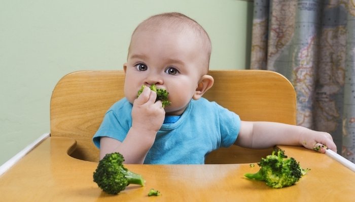 A baby boy eating broccoli florets in his highchair.