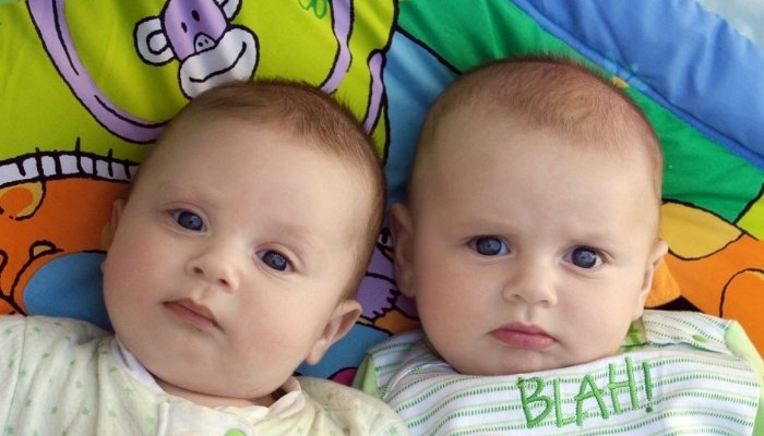Adorable baby twin brothers lying on a animal-themed blanket.