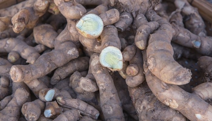 A pile of true yams at an outdoor market.