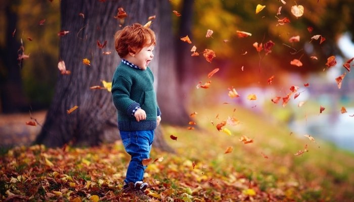 A toddler boy in a jeans and a sweater enjoying autumn leaves falling to the ground.