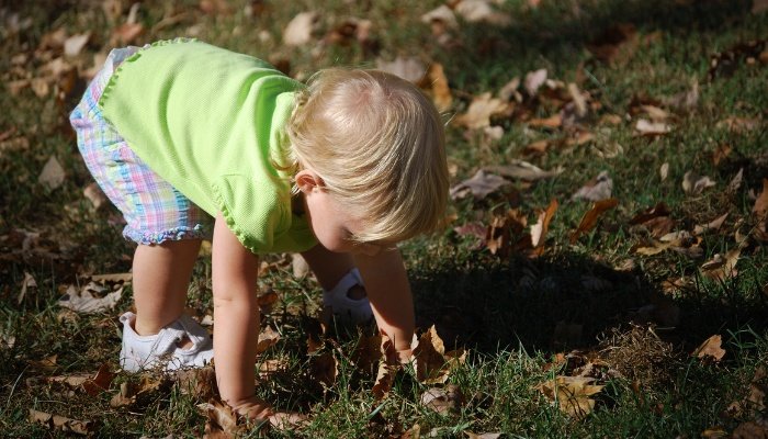 A toddler bends over while outside to investigate fallen leaves.