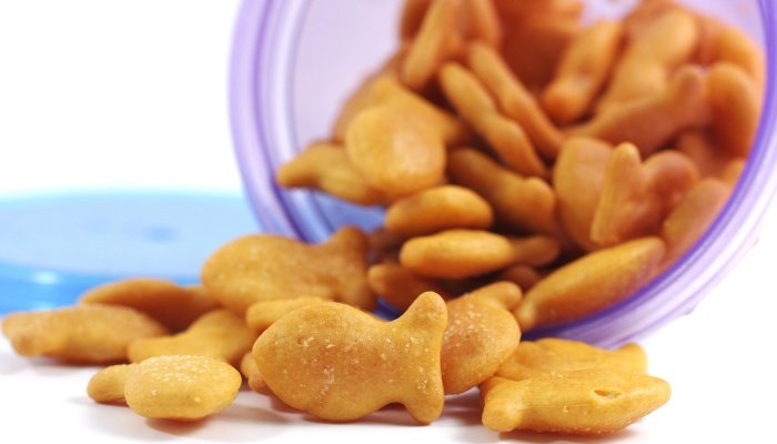 Goldfish crackers spilling out from a snack cup lying on its side.