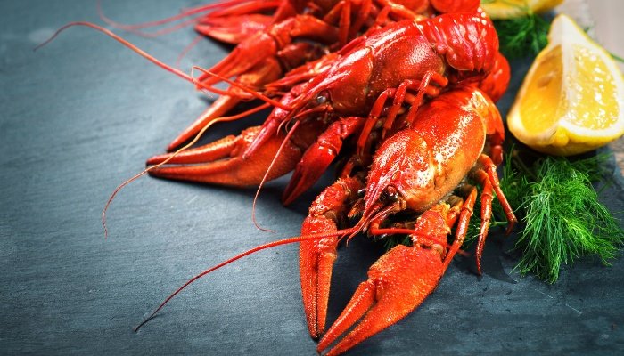 Several crawfish and lemon wedges with parsley on a gray counter.