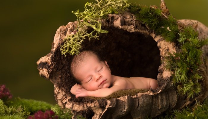 A newborn sleeping in a hollow log for a professional photo shoot.